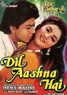 Dil Aashna Hai (...The Heart Knows) Full Movie Watch Online - 1992 Drama, Romance Film Poster