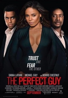 The Perfect Guy (2015) Full Movie Watch Online in Dual Audio HD The Perfect Guy Full Movie Watch Online - 2015 Drama, Romance, Thriller Film Poster