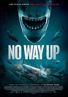 No Way Up (2024) Full Movie Watch Online in Dual Audio HD No Way Up Full Movie Watch Online - 2024 Action, Adventure, Drama Film Poster