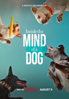 Inside the Mind of a Dog (2024) full Movie Download Free in Dual Audio HD