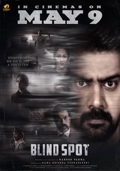 Blind Spot (2025) Hindi Dubbed 720p WEBRip 730mb
